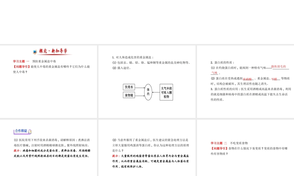 【金榜学案】2014版九年级化学下册 第十单元 第三节 远离有毒物质课件 （新版）鲁教版
