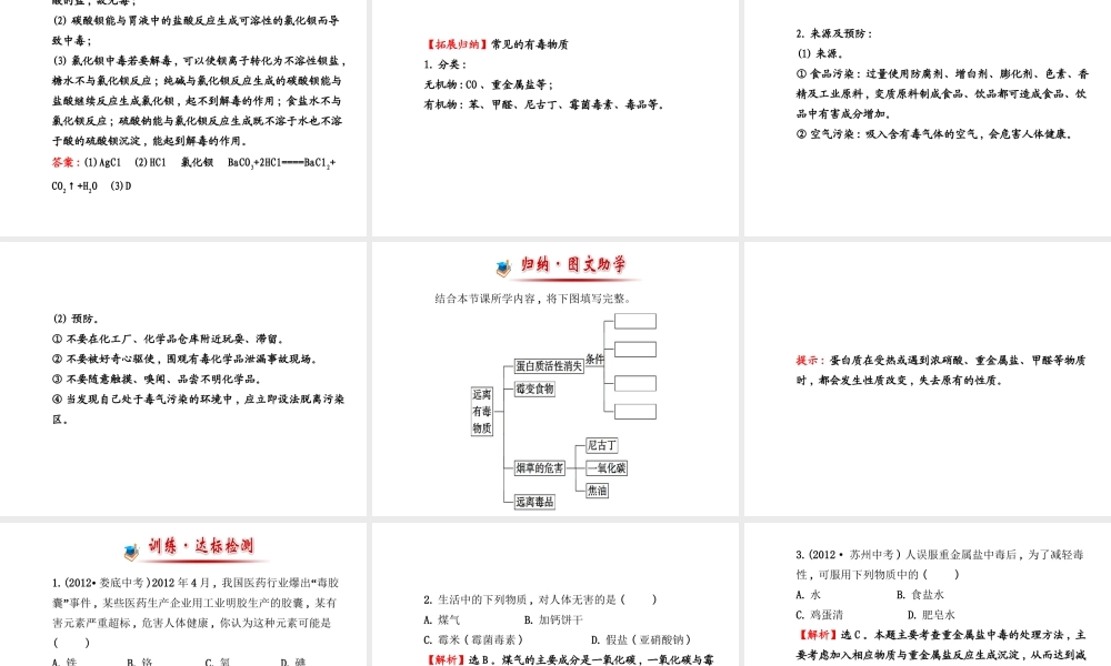 【金榜学案】2014版九年级化学下册 第十单元 第三节 远离有毒物质课件 （新版）鲁教版