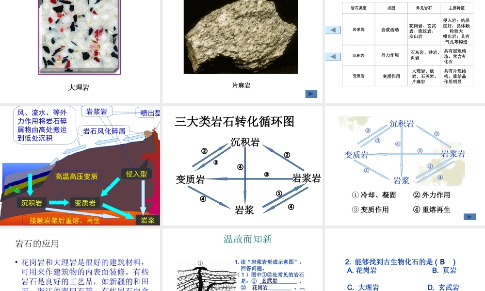 【名校课时通】2013-2014学年七年级科学上册 第3章 人类的家园—地球 第3节 组成地壳的岩石课件 浙教版