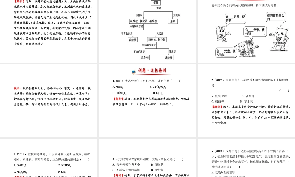 【金榜学案】2014版九年级化学下册 第十一单元 第三节 化学与农业生产课件 （新版）鲁教版