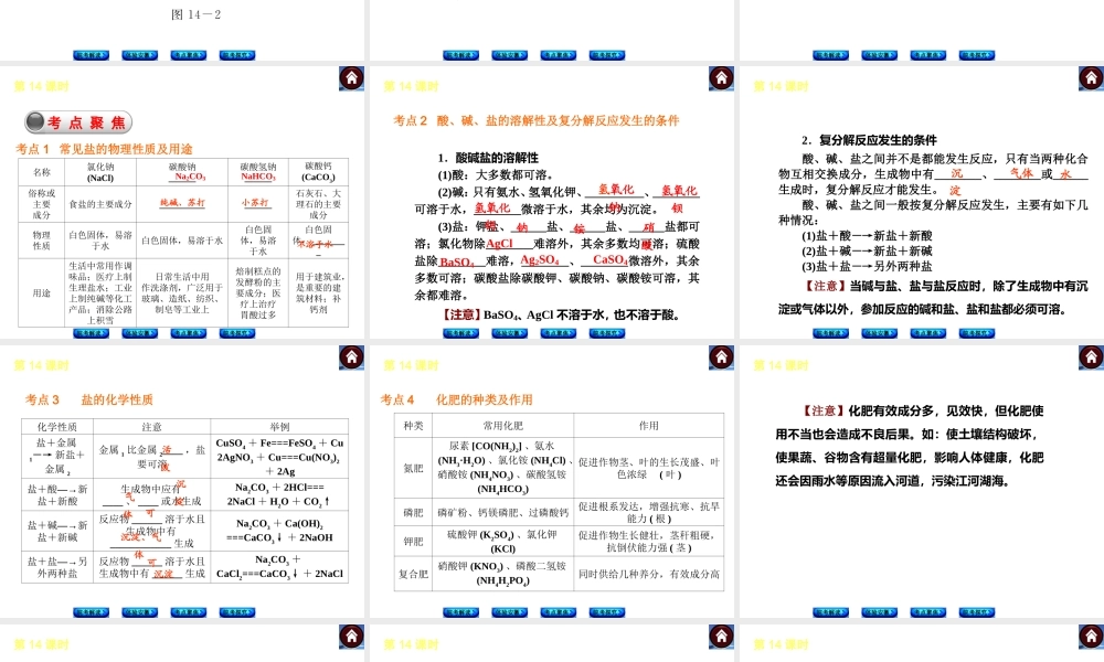 【最新中考必备】（安徽专版）2014中考化学复习方案 第14课时 盐和化肥（皖考解读+体验安徽+考点聚焦+皖考探究+13中考真题）权威课件