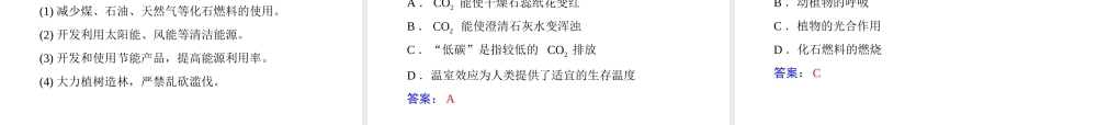 【随堂优化训练】2014九年级化学上册 第六单元 课题3 二氧化碳和一氧化碳课件 （新版）新人教版
