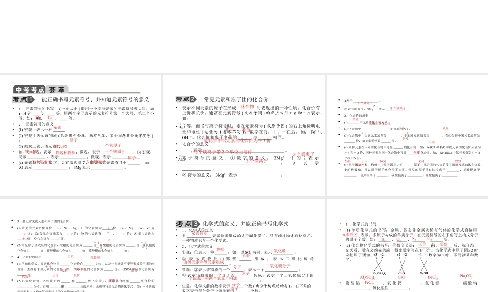 【聚焦中考】2015中考化学总复习 第25讲 专题四 化学用语课件