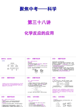 【聚焦中考】（浙江地区专版）2014中考科学总复习 第38讲 化学反应的应用课件（考点精讲+13中考真题）