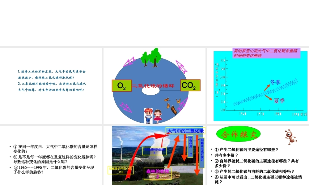 【名校课时通】2014届九年级化学全册 第六单元 燃烧与燃料 第三节 大自然中的二氧化碳名师教学课件 鲁教版
