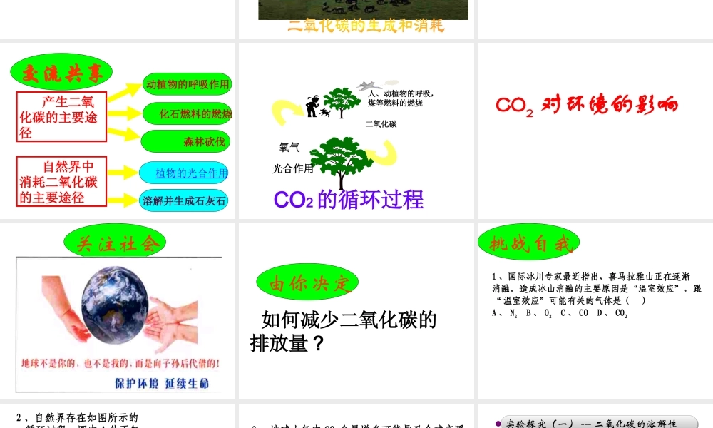 【名校课时通】2014届九年级化学全册 第六单元 燃烧与燃料 第三节 大自然中的二氧化碳名师教学课件 鲁教版