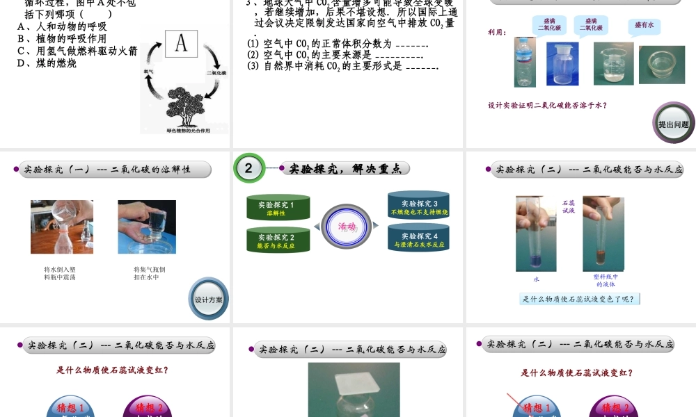 【名校课时通】2014届九年级化学全册 第六单元 燃烧与燃料 第三节 大自然中的二氧化碳名师教学课件 鲁教版