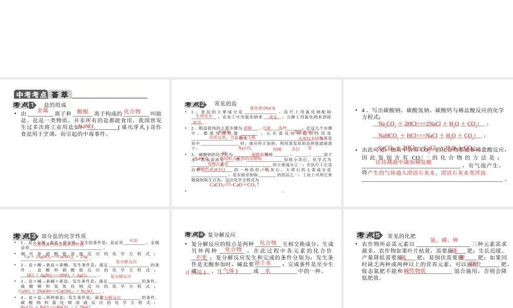 【聚焦中考】2015中考化学总复习 第31讲 专题十 盐课件