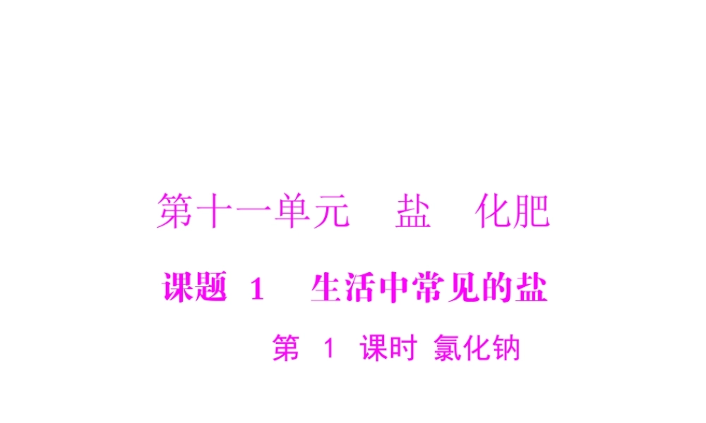 【随堂优化训练】2014九年级化学下册 第十一单元 课题1 第1课时 氯化钠课件 （新版）新人教版