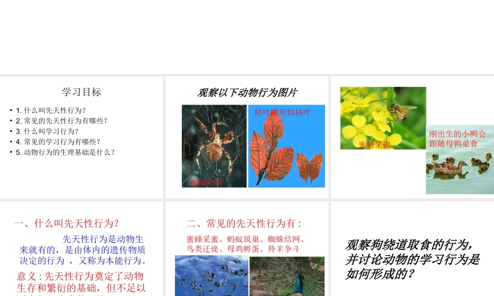 八年级上生物册 18.2 动物行为的生理基础课件 （新版）苏教版