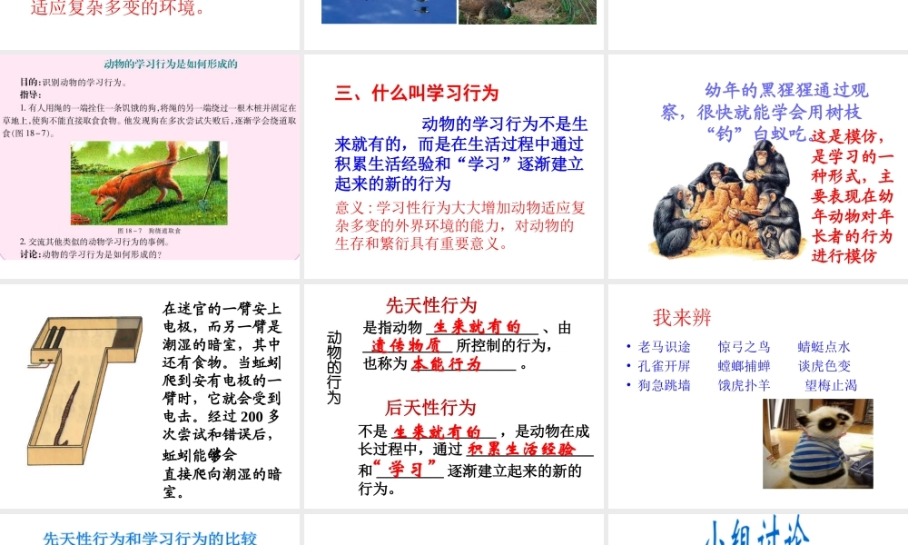 八年级上生物册 18.2 动物行为的生理基础课件 （新版）苏教版