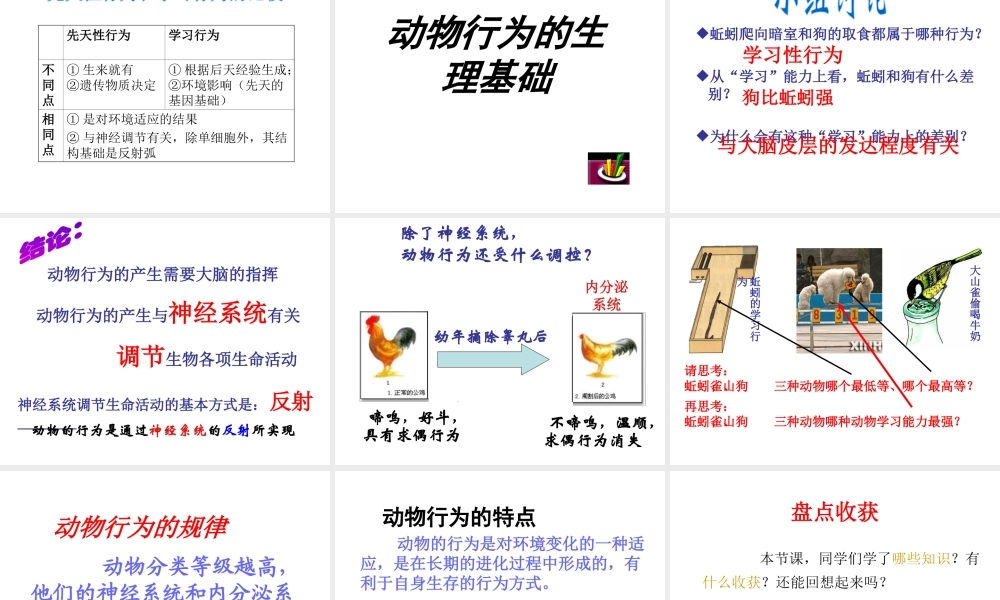 八年级上生物册 18.2 动物行为的生理基础课件 （新版）苏教版