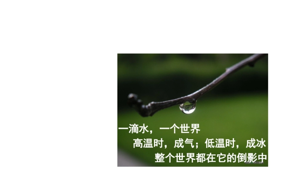 八年级化学全册 2.1《运动的水分子》课件 （新版）鲁教版五四制-鲁教版五四级全册化学课件