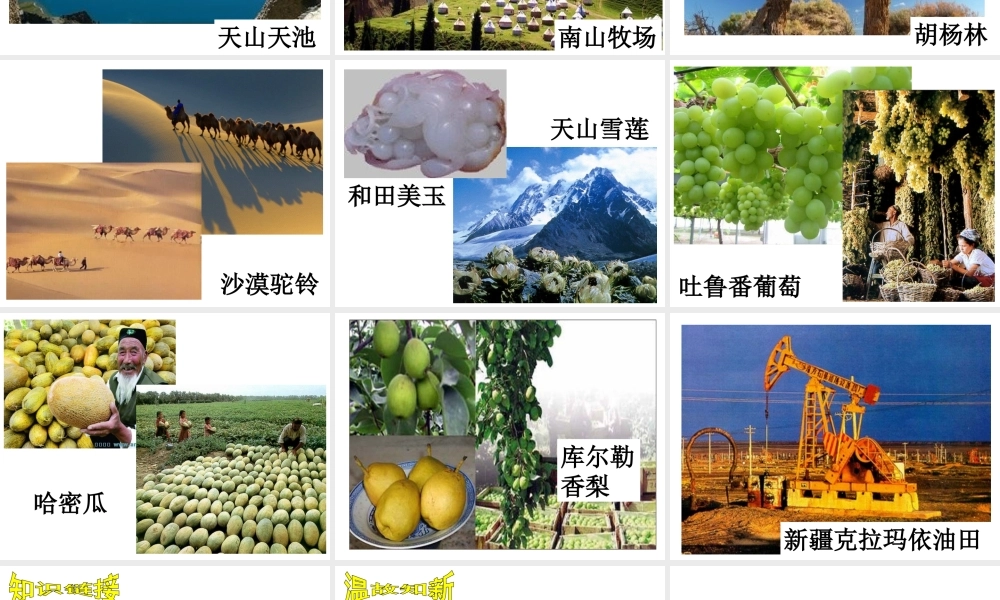 【水滴系列】八年级历史上册 第3课 收复新疆课件 新人教版