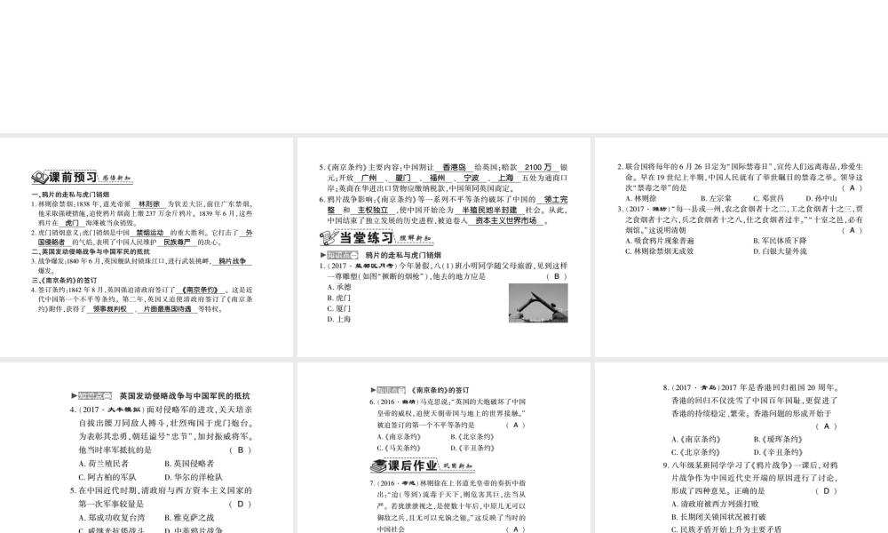 八年级历史上册 第1单元 列强侵华与晚清时期的救亡图存 第1课 鸦片战争习题课件 岳麓版-岳麓版初中八年级上册历史课件