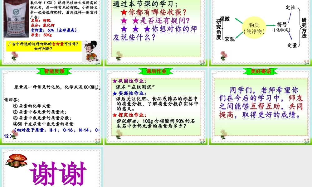 八年级化学全册 3.3《物质组成的表示》课件 （新版）鲁教版五四制-鲁教版五四级全册化学课件