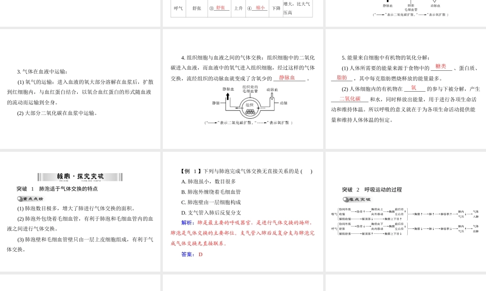 【南方新中考】（梅州）2015中考生物 第一部分 第3单元 第二讲 人体的能量供应复习课件