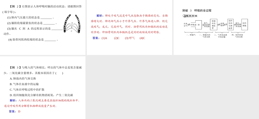 【南方新中考】（梅州）2015中考生物 第一部分 第3单元 第二讲 人体的能量供应复习课件