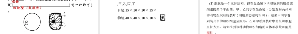 【四清导航】2014年秋七年级科学上册 第二章 第二节 第三课时 实验：观察动、植物细胞课件 （新版）浙教版
