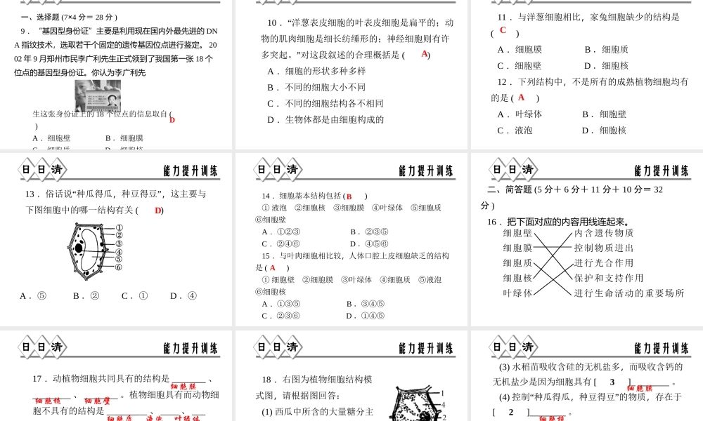 【四清导航】2014年秋七年级科学上册 第二章 第二节 第一课时 细胞课件 （新版）浙教版