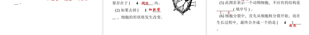 【四清导航】2014年秋七年级科学上册 第二章 第二节 第一课时 细胞课件 （新版）浙教版