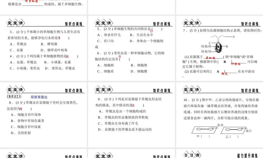 【四清导航】2014年秋七年级科学上册 第二章 第六节 第一课时 单细胞与多细胞生物课件 （新版）浙教版