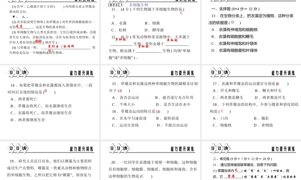 【四清导航】2014年秋七年级科学上册 第二章 第六节 第一课时 单细胞与多细胞生物课件 （新版）浙教版