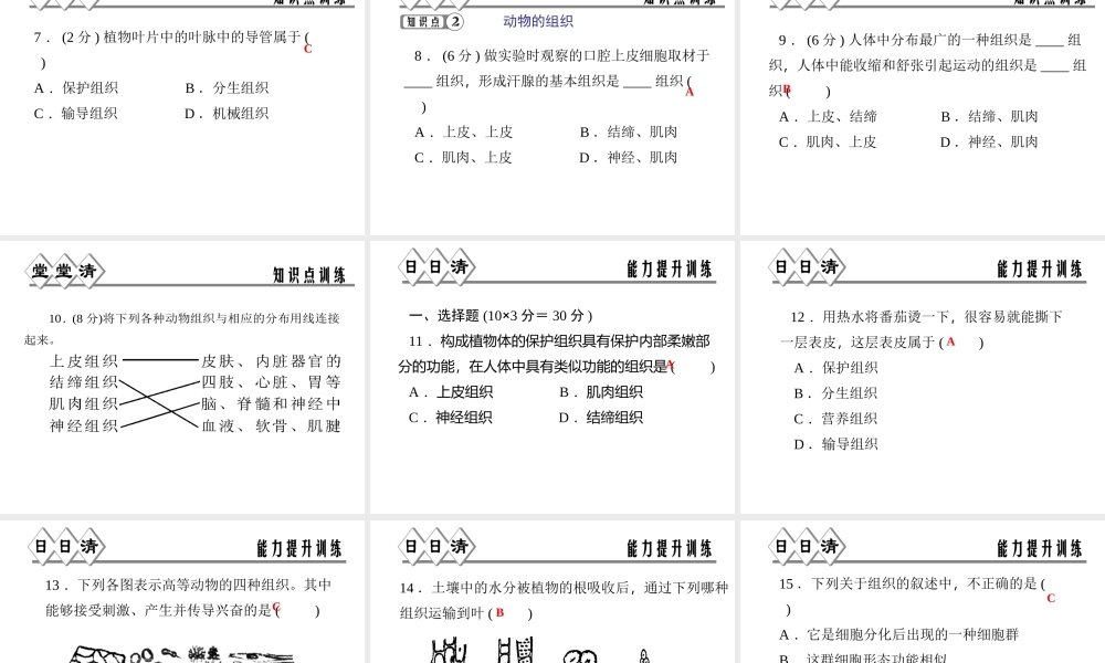 【四清导航】2014年秋七年级科学上册 第二章 第三节 第二课时 动、植物的组织课件 （新版）浙教版
