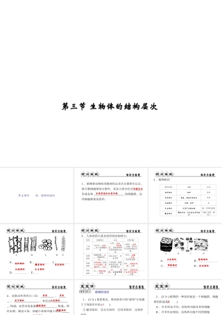 【四清导航】2014年秋七年级科学上册 第二章 第三节 第二课时 动、植物的组织课件 （新版）浙教版
