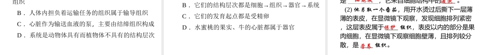 【四清导航】2014年秋七年级科学上册 第二章 第三节 第三课时 器官和系统课件 （新版）浙教版