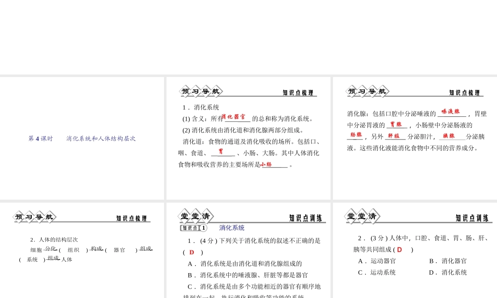【四清导航】2014年秋七年级科学上册 第二章 第三节 第四课时 消化系统和人体结构层次课件 （新版）浙教版