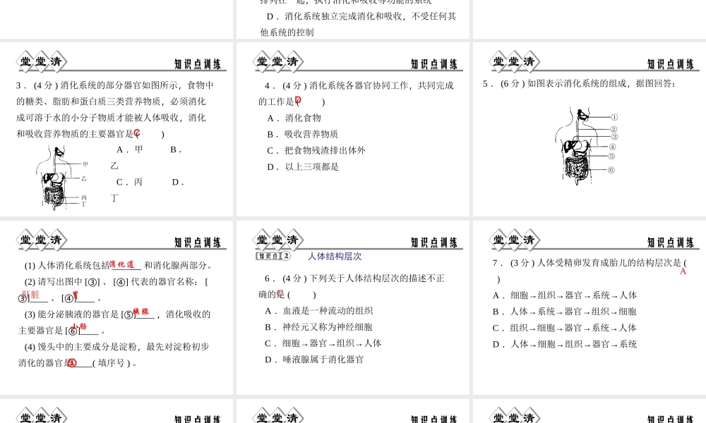 【四清导航】2014年秋七年级科学上册 第二章 第三节 第四课时 消化系统和人体结构层次课件 （新版）浙教版