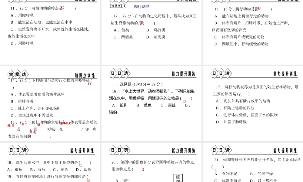 【四清导航】2014年秋七年级科学上册 第二章 第四节 第二课时 脊椎动物课件 （新版）浙教版