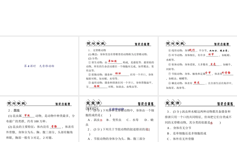 【四清导航】2014年秋七年级科学上册 第二章 第四节 第四课时 无脊椎动物课件 （新版）浙教版