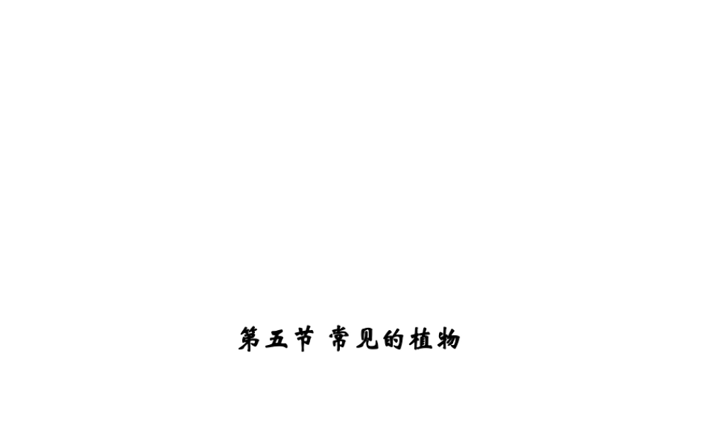 【四清导航】2014年秋七年级科学上册 第二章 第五节 第二课时 孢子植物课件 （新版）浙教版