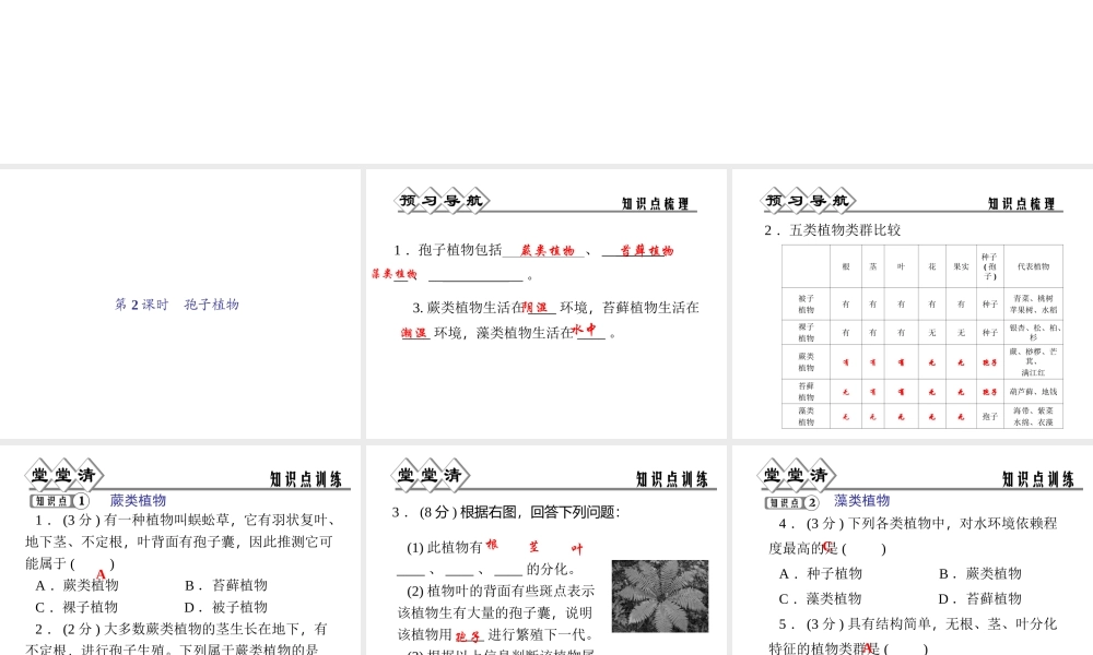 【四清导航】2014年秋七年级科学上册 第二章 第五节 第二课时 孢子植物课件 （新版）浙教版