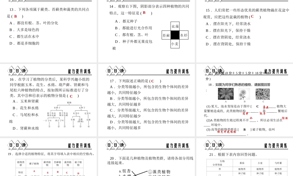 【四清导航】2014年秋七年级科学上册 第二章 第五节 第二课时 孢子植物课件 （新版）浙教版