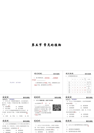 【四清导航】2014年秋七年级科学上册 第二章 第五节 第二课时 孢子植物课件 （新版）浙教版