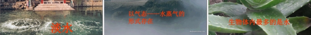 八年级化学全册 4.3 爱护水资源课件 人教版五四制-旧人教版初中八年级全册化学课件