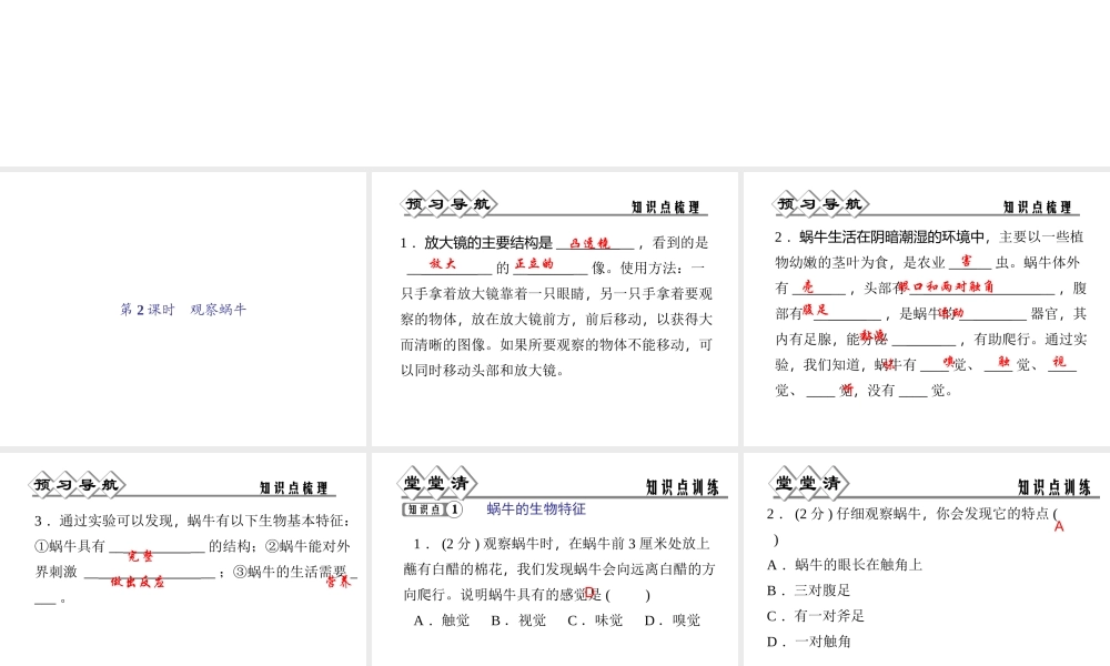 【四清导航】2014年秋七年级科学上册 第二章 第一节 第二课时 观察蜗牛课件 （新版）浙教版