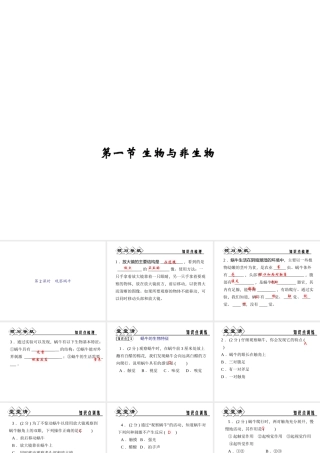 【四清导航】2014年秋七年级科学上册 第二章 第一节 第二课时 观察蜗牛课件 （新版）浙教版
