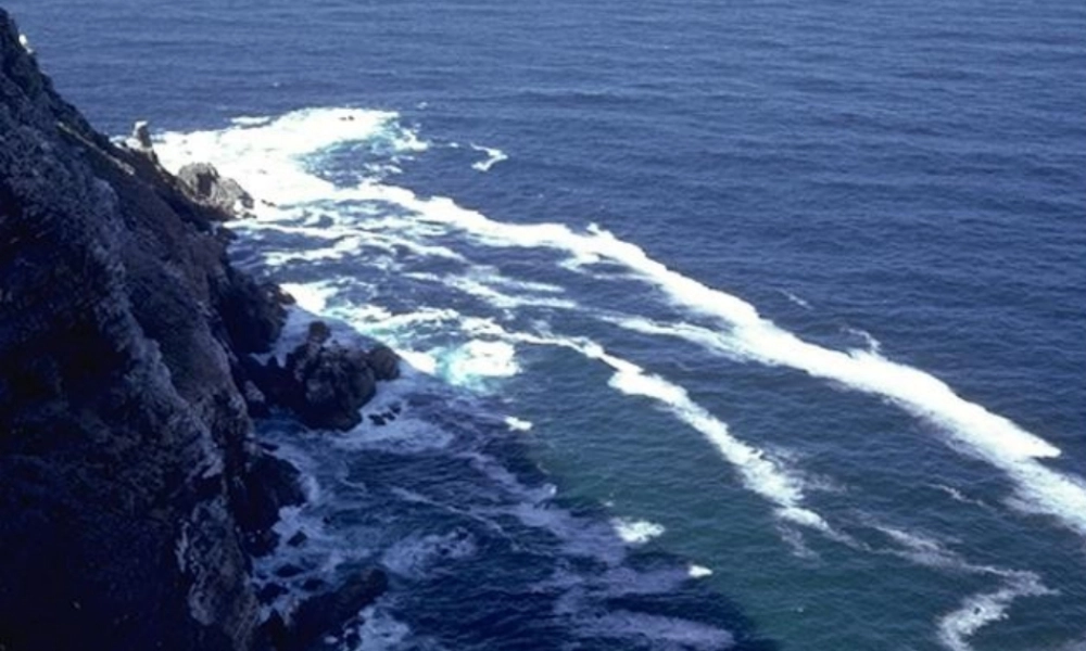 八年级化学全册 4.3 爱护水资源课件 人教版五四制-旧人教级全册化学课件