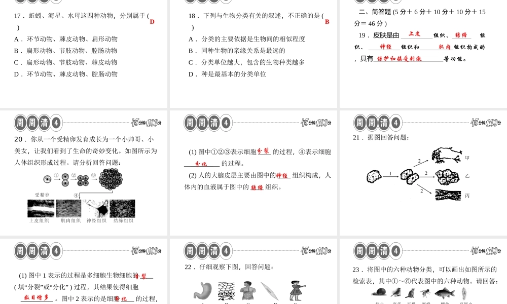 【四清导航】2014年秋七年级科学上册 第二章 观察生物课件2 （新版）浙教版