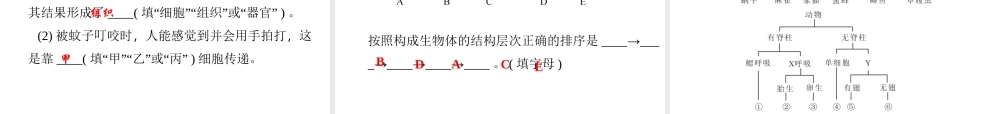 【四清导航】2014年秋七年级科学上册 第二章 观察生物课件2 （新版）浙教版