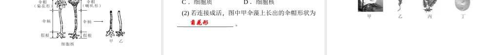 【四清导航】2014年秋七年级科学上册 第二章 观察生物课件3 （新版）浙教版