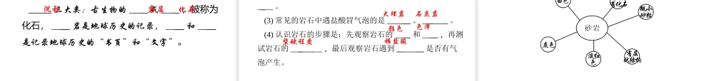【四清导航】2014年秋七年级科学上册 第三章 第三节 组成地壳的岩石课件 （新版）浙教版