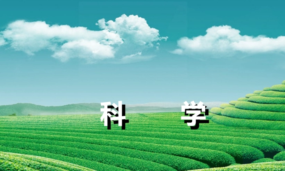 【浙江新中考】2014中考科学总复习 第二篇 物质科学（一） 第10讲 电功和电功率（三年中考真题为例）课件