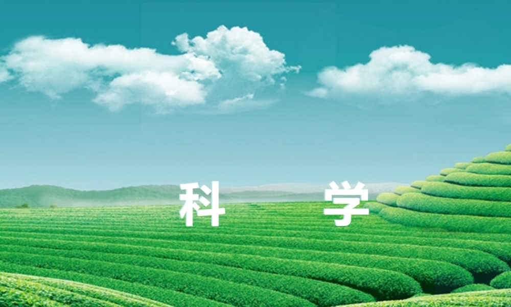 【浙江新中考】2014中考科学总复习 第三篇 物质科学（二） 第1讲 构成物质的微粒（三年中考真题为例）课件