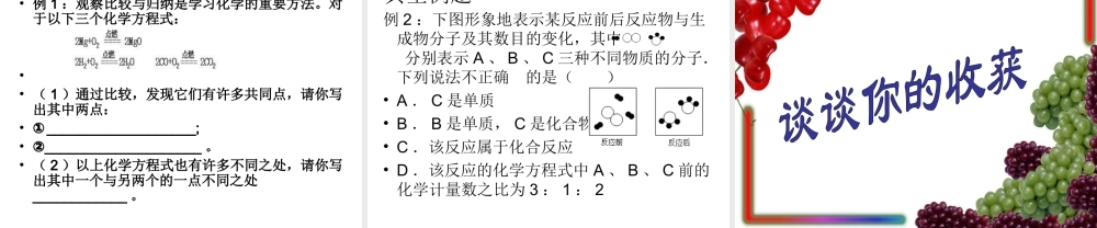 八年级化学全册 5.2《化学反应的表示》课件1 （新版）鲁教版五四制-鲁教版五四级全册化学课件