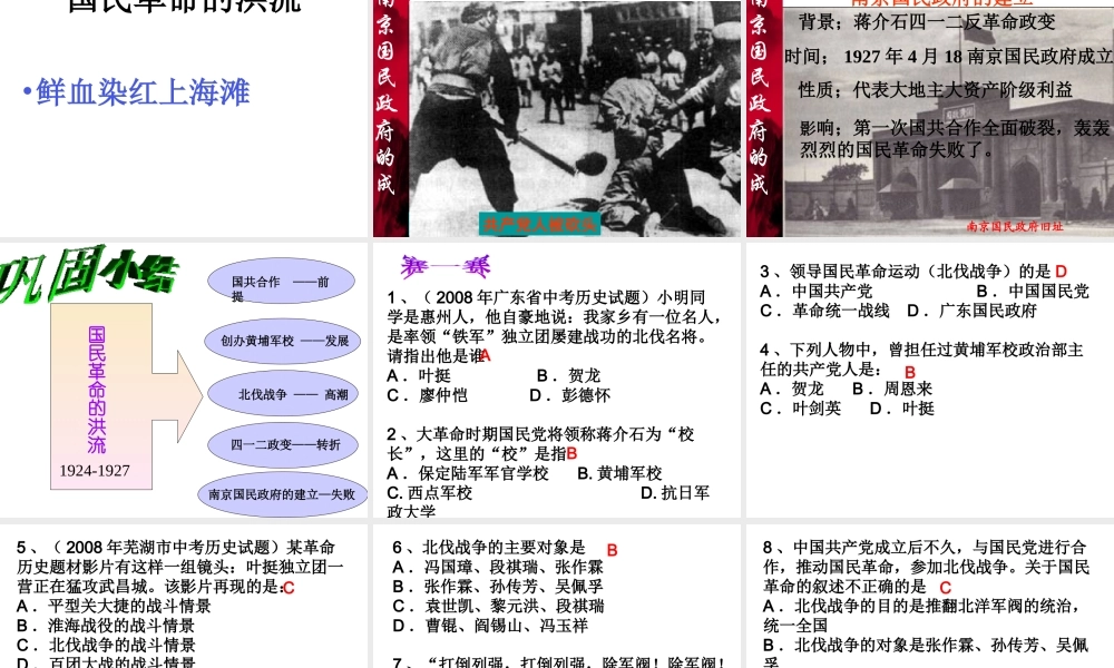 八年级历史上册 第12课 国民革命的洪流课件 北师大版-北师大版初中八年级上册历史课件